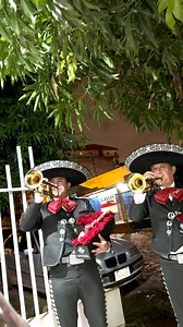 Dale clic al link y envíanos tu mensaje api.whatsapp.com/send?phone=595973102584 #mariachiparaguay #showmariachi #mariachifiesta #mariachiramírezpy #mariachipy #mariachiramírez #mariachicde | Mariachi Ramírez