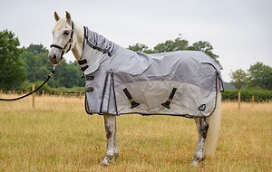Fieldmasta Waterproof Fly Rug review | Horse & Hound