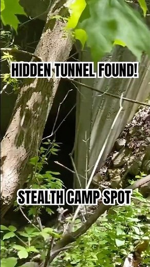 Secret Tunnel Under the Road Leads to Hidden Urban Forest | Future Stealth Camp Spot #stealthcamping