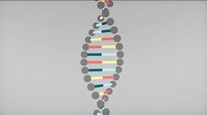 DNA Finally Gets a Beautiful Explainer Befitting Its Mystifying Elegance