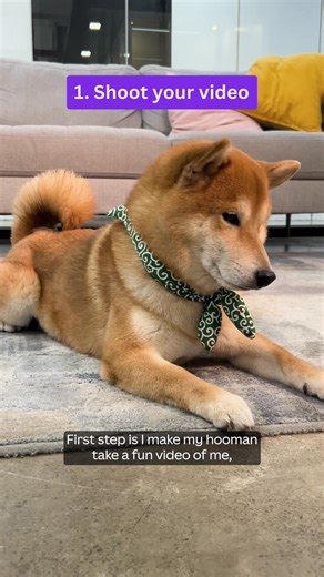 Get those cute shots edited in minutes with Magic Video and premium templates. 🎀 Save 50% on Canva Pro for the first 3 months. Valid until December 19, 2025. Terms and eligibility requirements apply. | Canva