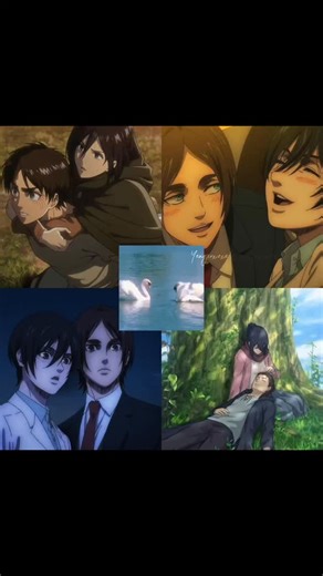 Eremika 🦢❤️ . . 📩 Give me credit if repost 🖤 Follow for more AOT memes ➤ @yeagerx.exe . . Tags - #foryou #fypシ❤️💞❤️ #fyp #reach #reelsgrowth #explorepage #attackontitan #aot #aotmemes #erenyeager #mikasa #aotedit #animeedits #animevibes #animeislife #postaotdepression #aotpain #erenedit #trendinganime #viralreel #foryoupage #aotfans #eremika #aotlove #romantasy #romanticcouples #animescenes | Eren Yeager