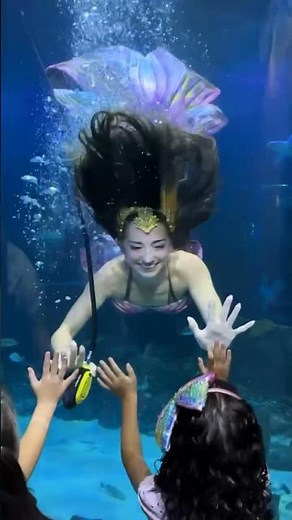 Mermaids make dreams come true! 🥹 #mermaid #mermaidtail #cute #aquarium #underwater #swimming #h2o