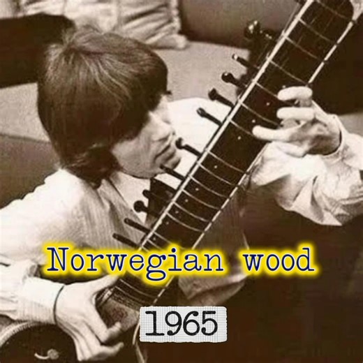 Sitar 💫 | Los Beatleros