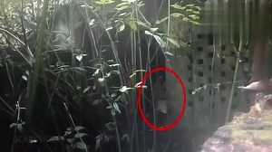 YouTube灵异恐怖视频集锦！胆小慎点！