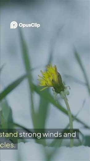 Peterborough Fence chain link fence installation