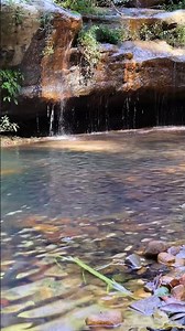 Hours of Waterfall at Balaka Falls | Relaxing Birdsong & Flowing Water Sounds for Calm Focus