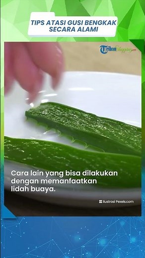 Begini Cara Mudah Mengatasi Masalah Gusi Bengkak dengan Air Garam dan Lidah Buaya