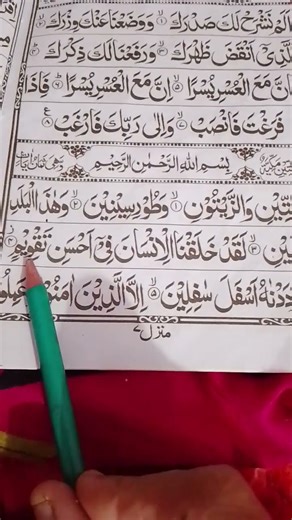 Surah At-Tin | Beautiful Quran Recitation by Egzon Ibrahimi | سورة التين