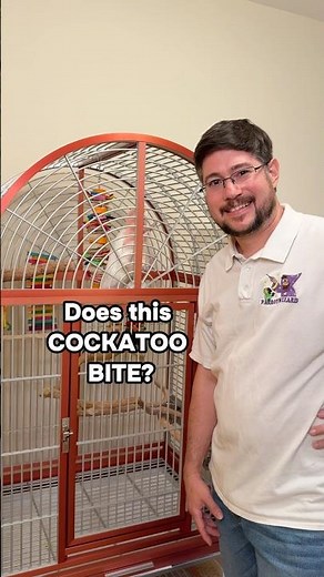 Does This Major Mitchell's Cockatoo Bite?