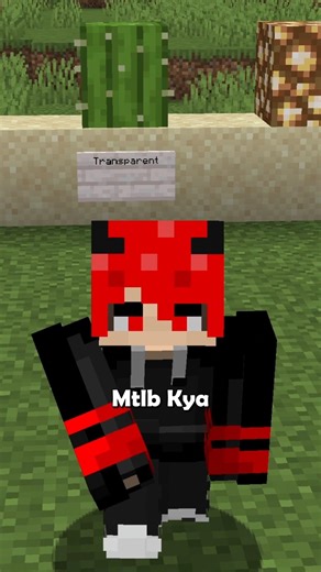 Reality of Transparent Block in Minecraft? 😲