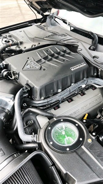 Singing that VMP song! 🥰🥰🥰🥰🥰 This '16 GT is equipped with an Odin Level 2 supercharger kit, a 3.4" pulley, and the Odin Ice Tank. It lays down a healthy 708 rwhp and is daily driven averaging 20 mpg! It just goes to show that you can have your cake and eat it too with a simple and effective combination. Hit us up for yours! . . #vmpperformance #vmpsuperchargers #vmptuning #horsepower #supercharged #superchargerwhine #s550mustangs #s550coyote #superchargedmustang #vmppowered #boostedmustangs