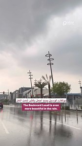 13K views · 261 reactions | Qatar Living on Reels | Facebook