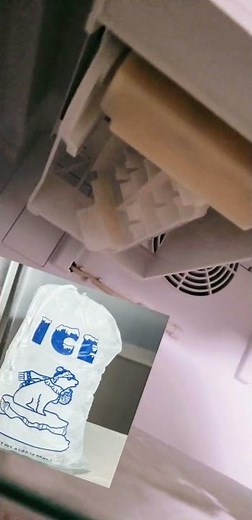 Liebherr Ice Maker (NO ICE?)How To Reset (fix)👍🏼no tools!!🔧
