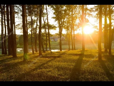 Mike Gettman Celebration of Life Memorial Service