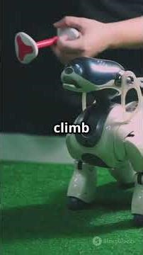 This Military Robot Dog Does What Soldiers Can't #shorts #trending #military