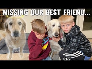 It's Not Easy Losing a Family Member || Mommy Monday