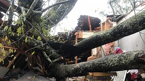 Indiana Task Force One responds to tree crash from hurricane that killed mom, infant