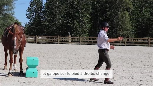 NOUVELLE VIDÉO GRATUITE : [BIEN ÉDUQUER] Améliorer le départ au GALOP Êtes-vous rigoureux dans vos codes pour demander le galop ? Comment votre cheval prend-il le galop ? Dans la fuite ou par une réponse bien conditionnée ? Dans cette vidéo, extraite du Horseman's club, je vous explique comment améliorer le départ au galop, à cheval. Cliquez sur le LIEN EN COMMENTAIRE. Pour en apprendre plus : • Rejoignez la communauté en ligne du Horseman's club et découvrez sa vidéothèque de plus de 300 vidéos