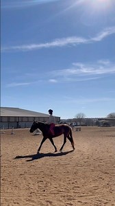 perfect ruby for a bareback free ride😛