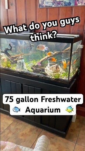 75 gallon freshwater aquarium setup ￼🐠 #Fish #Aquarium #FishKeeping ￼