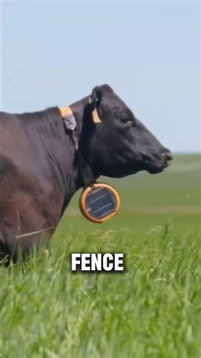 This Invisible Fence Is About to Change Farming Forever