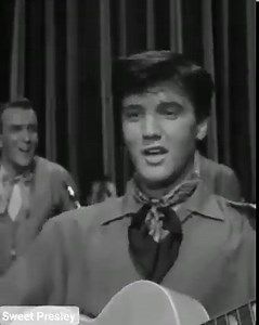 9.6K views · 599 reactions | Elvis Presley - King Creole (1958) | Sweet Presley | Facebook