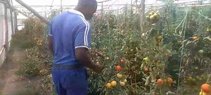 4.7K views · 32 reactions | *Integrated Farm Solutions* *Grow &...