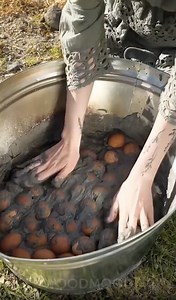 147K views · 343 reactions | Making Century Eggs the Traditional Way | Wood Mood | Facebook