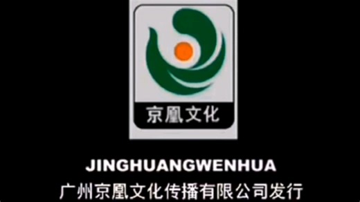 请把这个DVD碟片VCD碟片全部看完