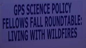 Fighting wildfires with web based imagery