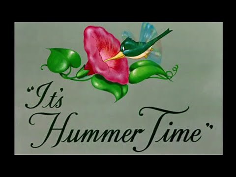 Looney Tunes "It's Hummer Time" Opening and Closing