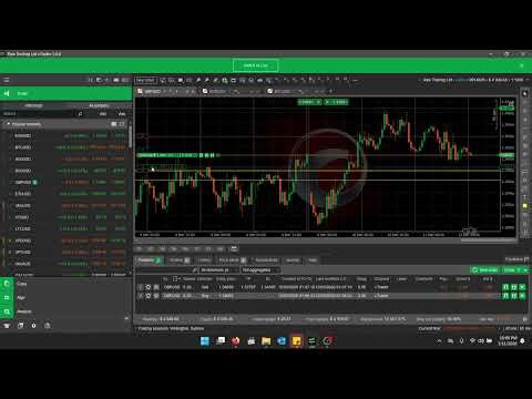 05 Forex Buy & Sell Explained Pips, Lot Size, Margin, Balance & Equity Ctrader Tutorial