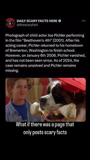 Thescaryfact ™ on Instagram: "Joe Pichler, a child actor known for his role in the film “Beethoven’s 4th” (2001), transitioned out of acting to return to his hometown of Bremerton, Washington, to complete his education. On January 5, 2006, he was last seen by friends during a late-night visit, and he spoke to a friend on the phone in the early hours of January 6th. However, he was reported missing on January 9th when his car was found abandoned with his personal belongings, including his wallet 