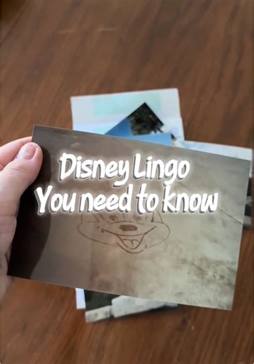 Disney Words You Need to Know for Your Next Trip