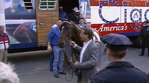 81K views · 1.7K reactions | Bill Mott reminisces on America's Horse, Cigar...from tracks around the world to his grandiose retirement ceremony at The Garden | NYRA | Facebook