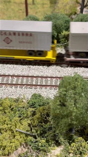 Chessie Reading HO model freight train #shorts #hoscale #train #modeltrains #railroad #railfan