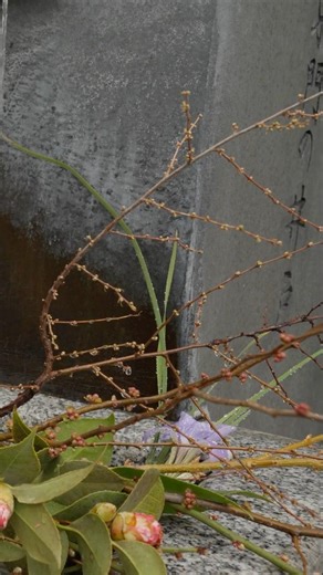 Seasonal Flowers by the Wells of Matsumoto