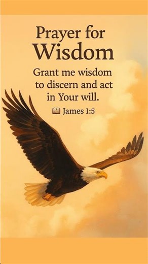 Prayer for Wisdom | Bible Meditation | Scripture Reading, Reflection, and Prayer