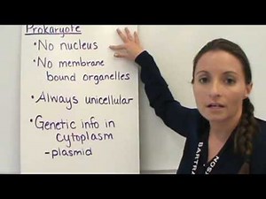 Prokaryote vs Eukaryote