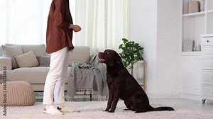 Woman training her dog at home, closeup