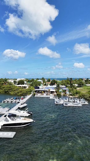 19K views · 268 reactions | Sxmdrone on Reels | Facebook