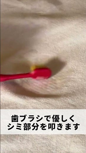 食器用洗剤を使い衣類の血のシミを落とす方法