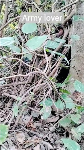 CRPF #commando #CRPF #battalion #cobra #commando #army #lover #short #video..