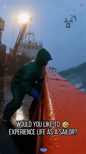 Would you like to experience life as a sailor #viral #sea #funny #fyp
