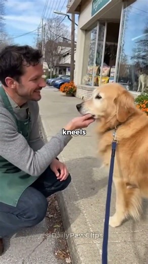 Everyone Wondered Why the Dog Stared at That Window