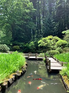 3.8K views · 2.1K reactions | This season brings joy, lightness, and a sense of renewal unlike any other time of year. | Portland Japanese Garden | Facebook