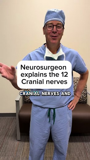 Neurosurgeon names the 12 cranial nerves and describes what each one does for your body #anatomy #medicalstudent #physicianassistant #humanbody