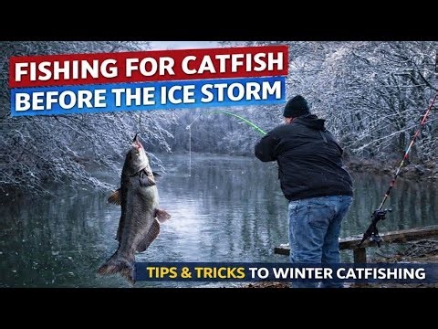 Winter Catfishing Tips & Tricks | Fishing Before the Ice Storm | Catch • Clean • Cook
