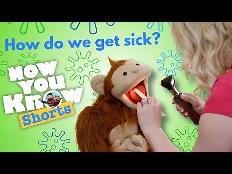 How do We Get Sick 🦠 | Now You Know | Learning for Kids 🧑🏻🐵